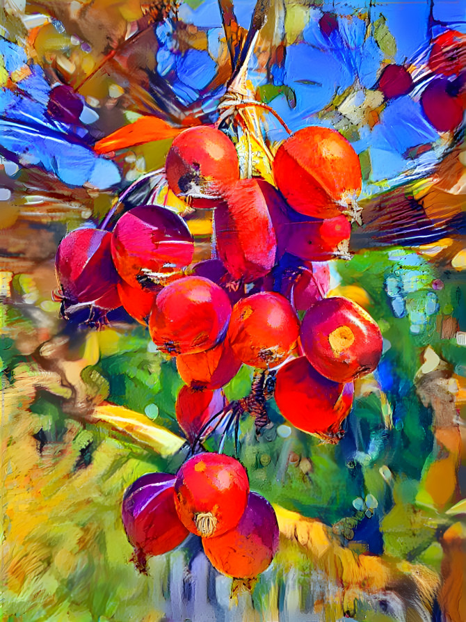 Crab apples