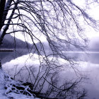 Snow-covered trees and calm lake in serene winter landscape