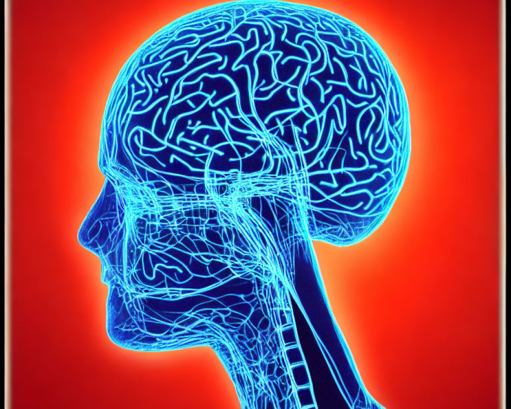 Human side profile with blue nervous system and brain on orange-red background