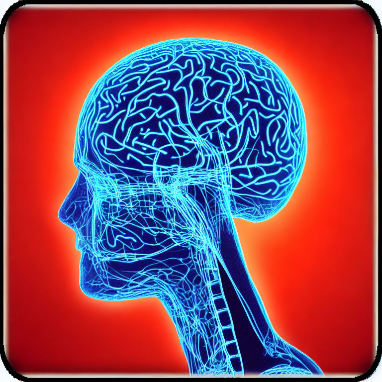 Human side profile with blue nervous system and brain on orange-red background