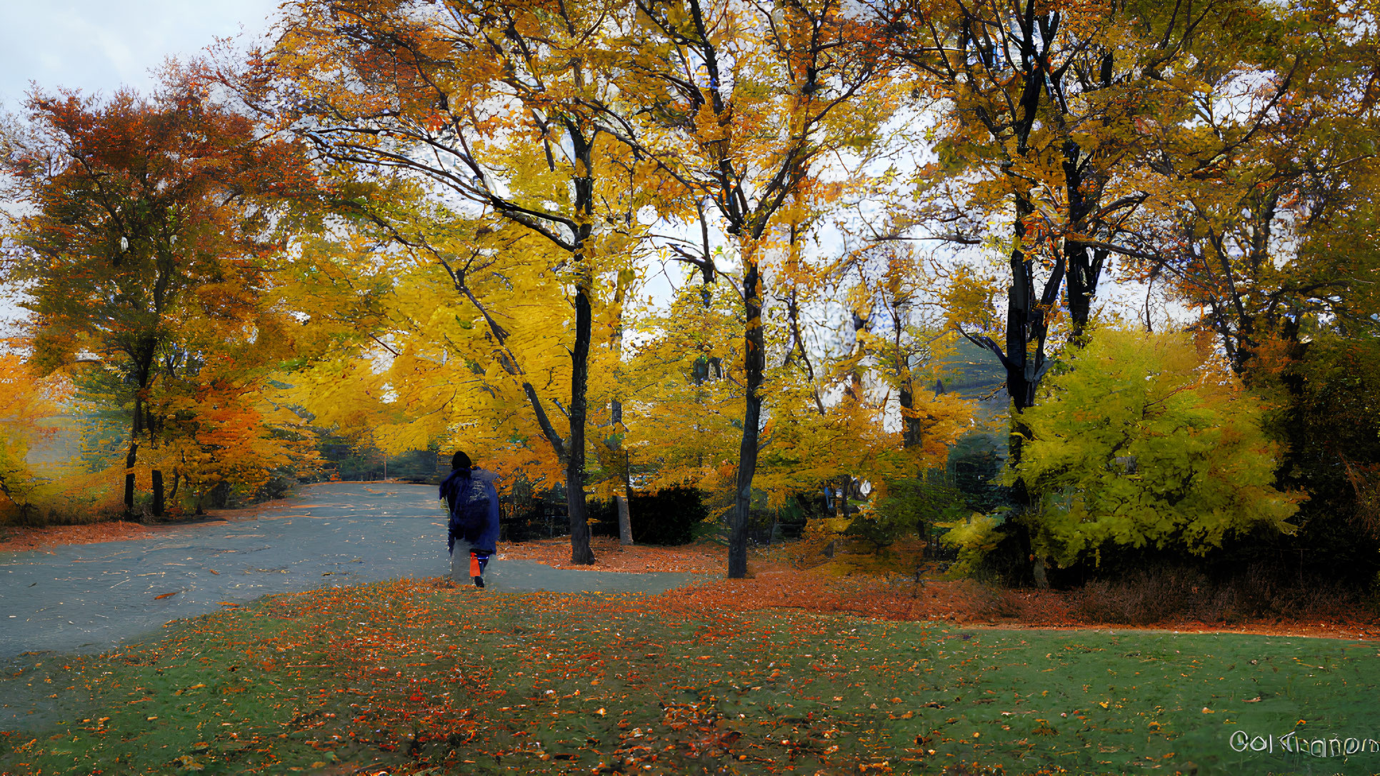 Vibrant autumn trees along leaf-strewn park path