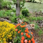 Tranquil garden scene with flowers, pond, boat, and stepping stones