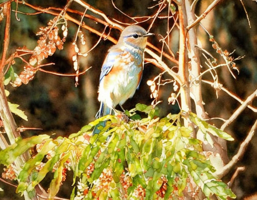 Colorful Bird Perched on Branch with Green Leaves and Brown Twigs