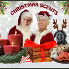 Festive scene with Santa, woman, dog, candles, pine cones, cookies, and gar