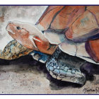 Illustrated Tortoise with Detailed Shell Patterns in Natural Setting