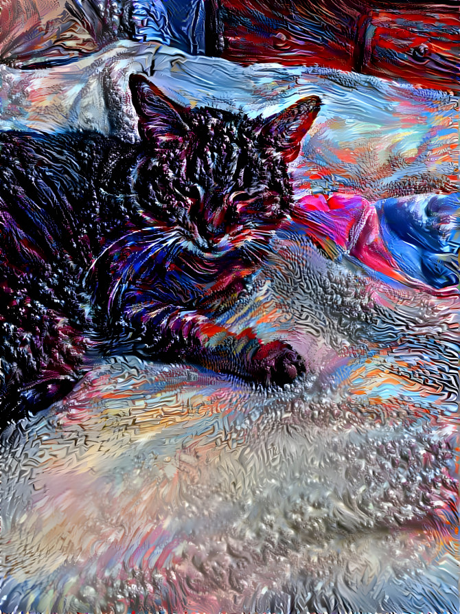 Fractal's Cat