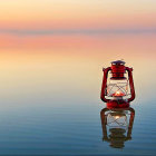 Guinea Pig on Stone in Still Water at Sunrise