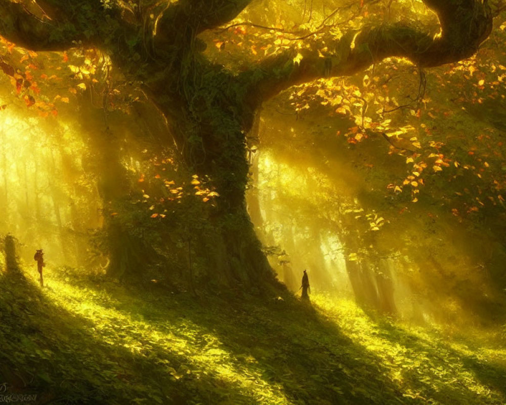 Mystical forest scene with sunlight filtering through dense foliage