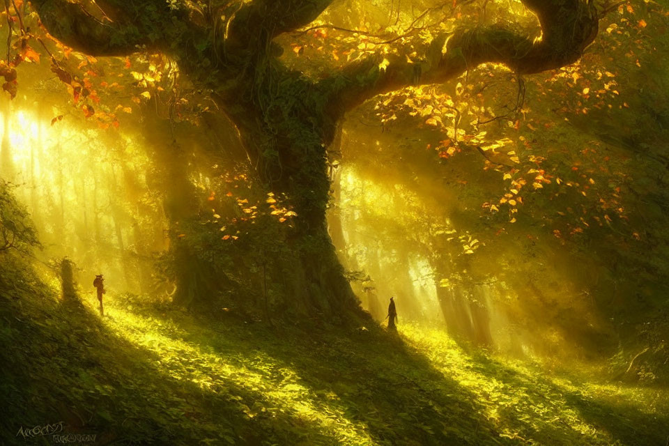 Mystical forest scene with sunlight filtering through dense foliage