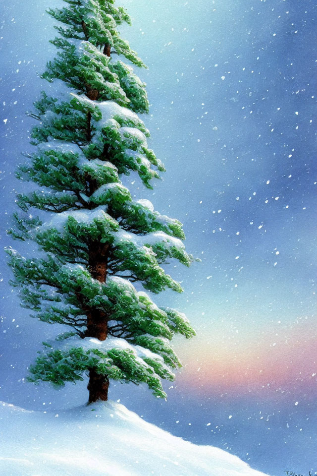 Snow-covered pine tree in serene winter scene with falling snowflakes.