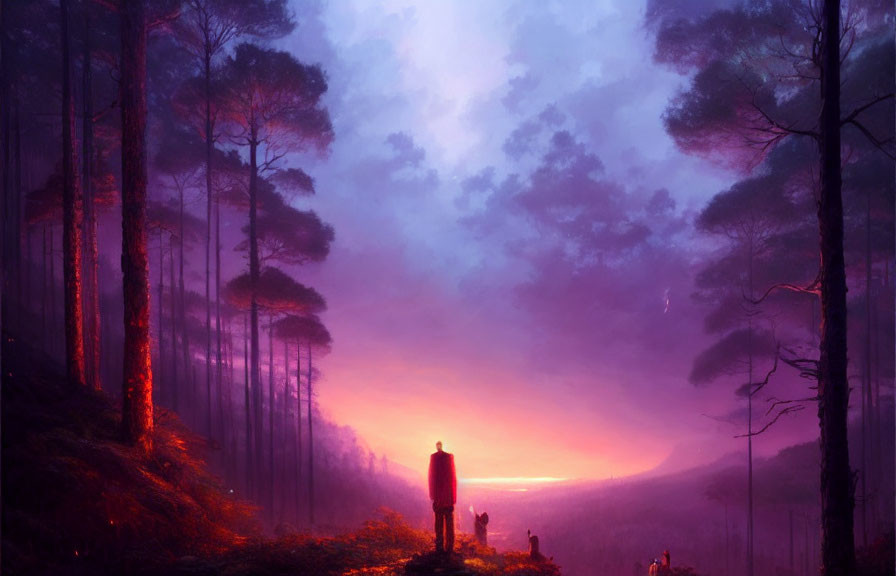 Person in misty forest at sunrise or sunset amidst tall trees