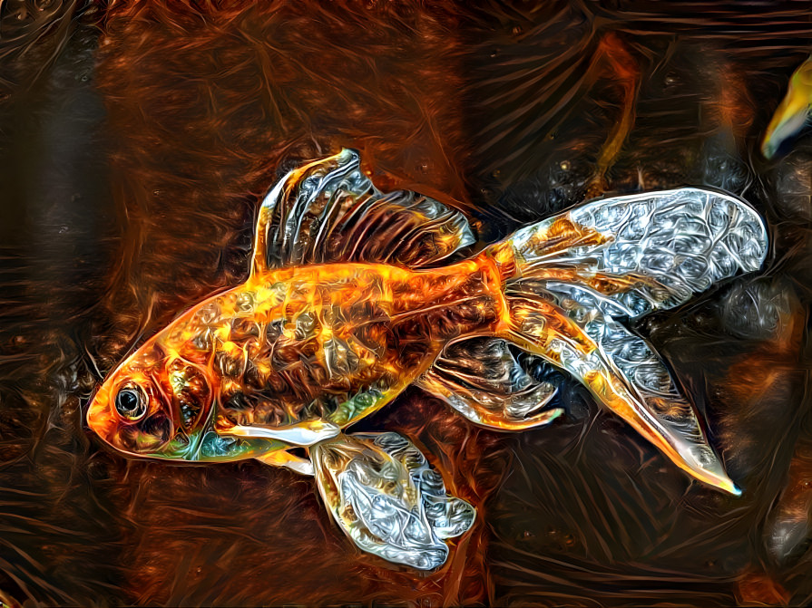 Diamond-Tailed Goldfish