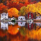 Colorful autumn landscape with trees, houses, and boat by calm water