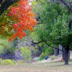 Tranquil lake with autumn trees and pavilion nestled in lush surroundings