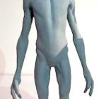 Slender blue alien with black eyes and lace-like appendages on light background