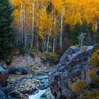 Scenic autumn landscape with stream, golden foliage, rocks, and trees