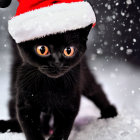 Black Cat with Yellow Eyes in Santa Hat Walking in Snowfall