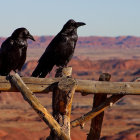 Three ravens perched on posts in a fiery, Van Gogh-esque sky.