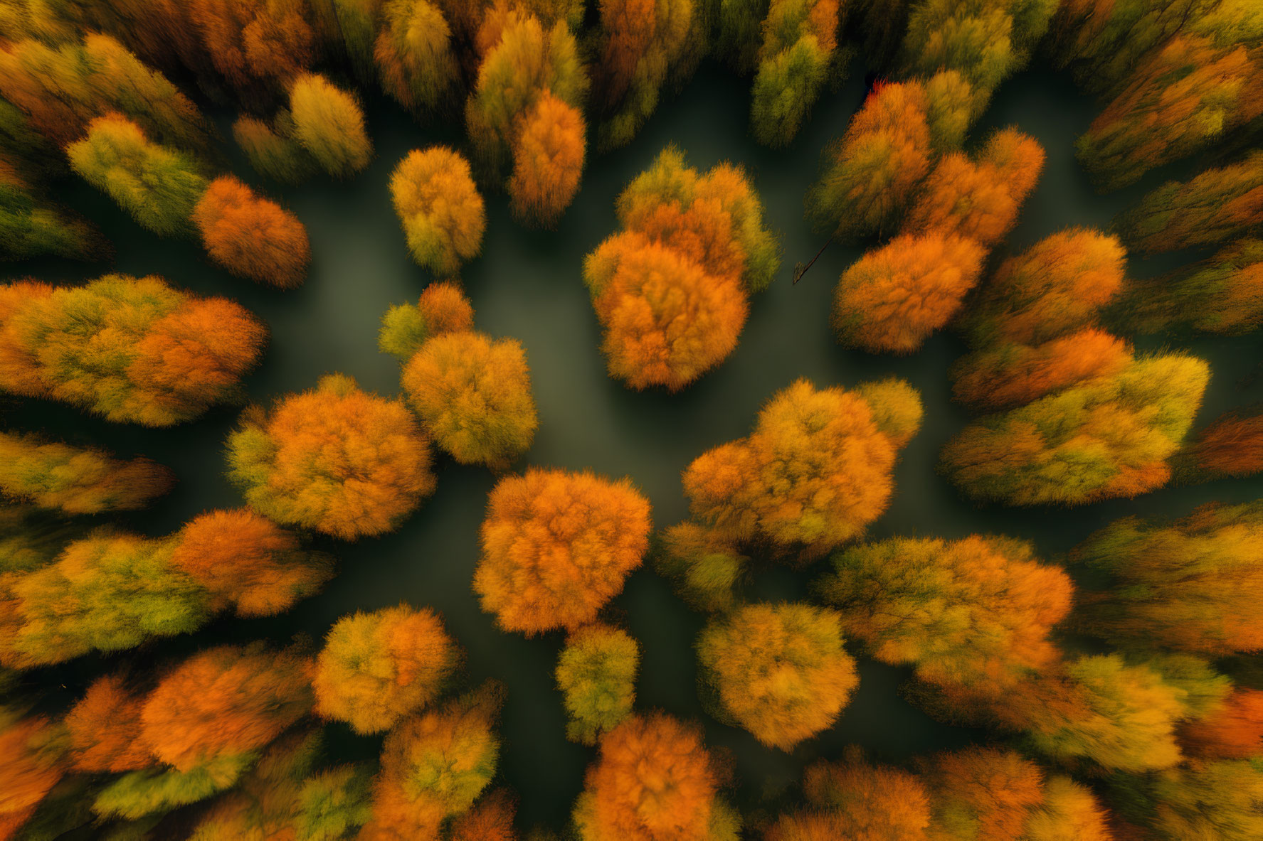 Vibrant autumn forest with winding river in aerial view