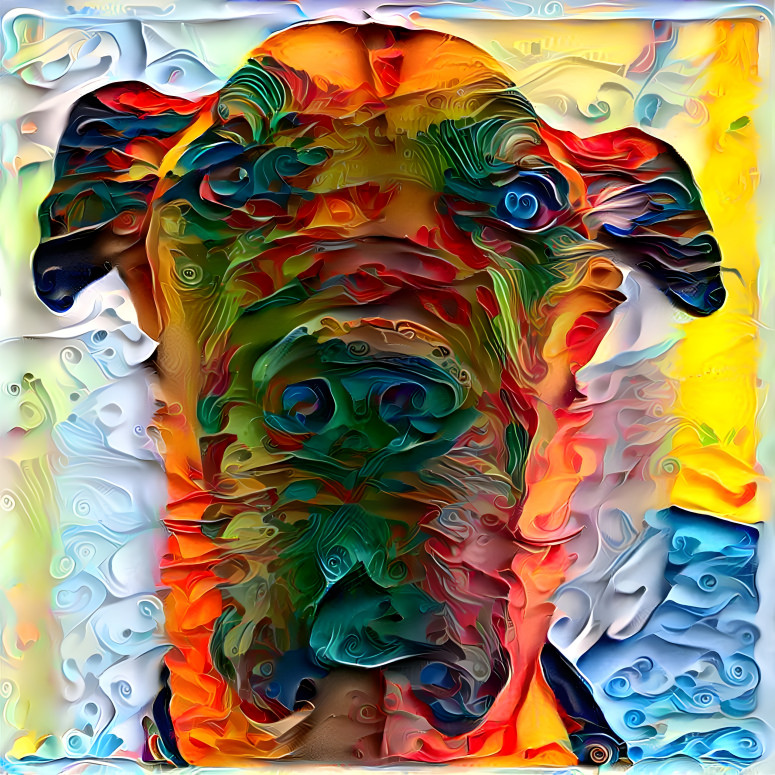 Color Pooch