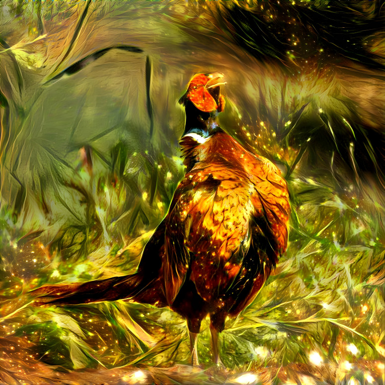 Pheasant 