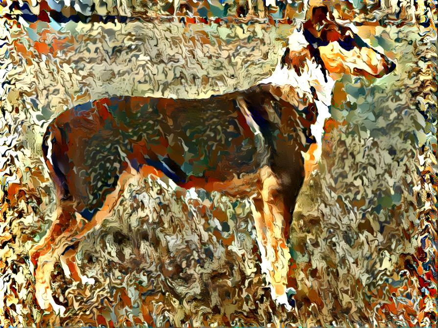 Smooth Collie