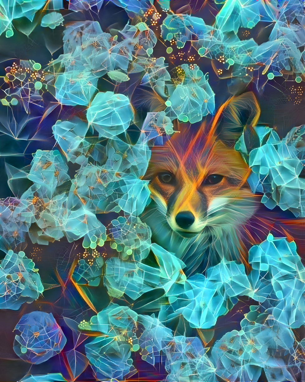 Fox