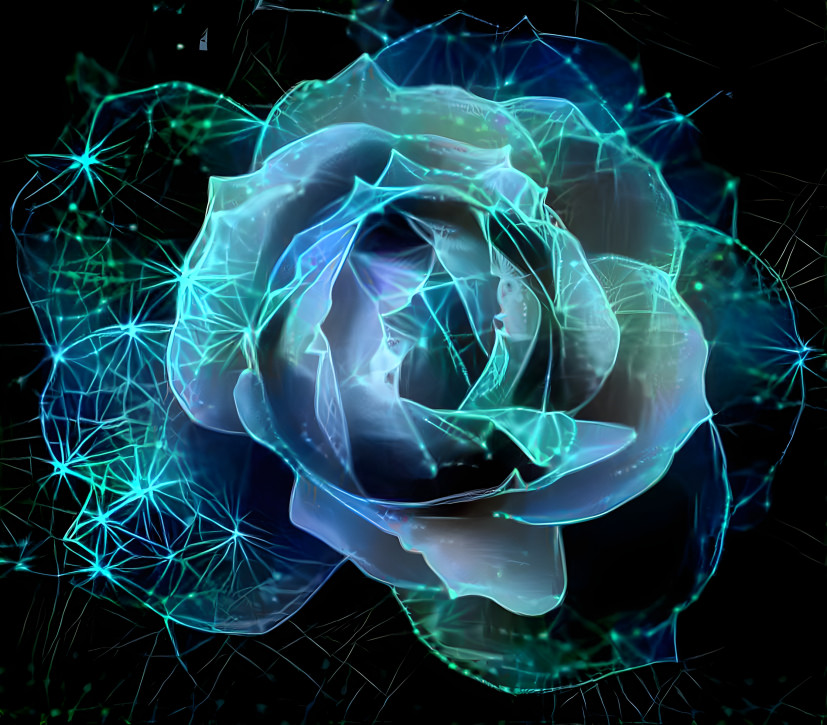 Electric Rose