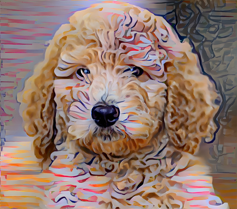 Poodle Doodle