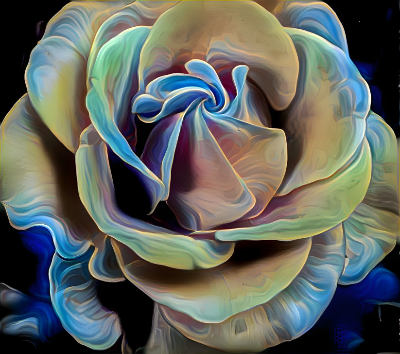 Painted rose