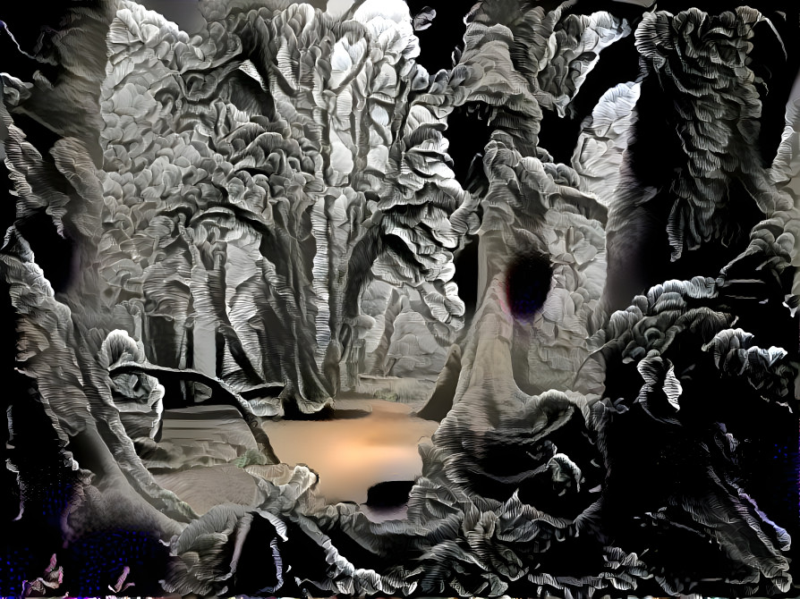 Enchanted Forest