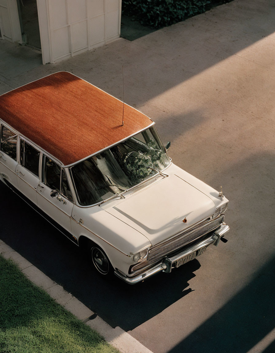 Vintage White Hearse with Wooden Coffin and Flowers on Tree-Lined Driveway