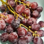 Fresh Deep Red Grapes on Reflective Surface