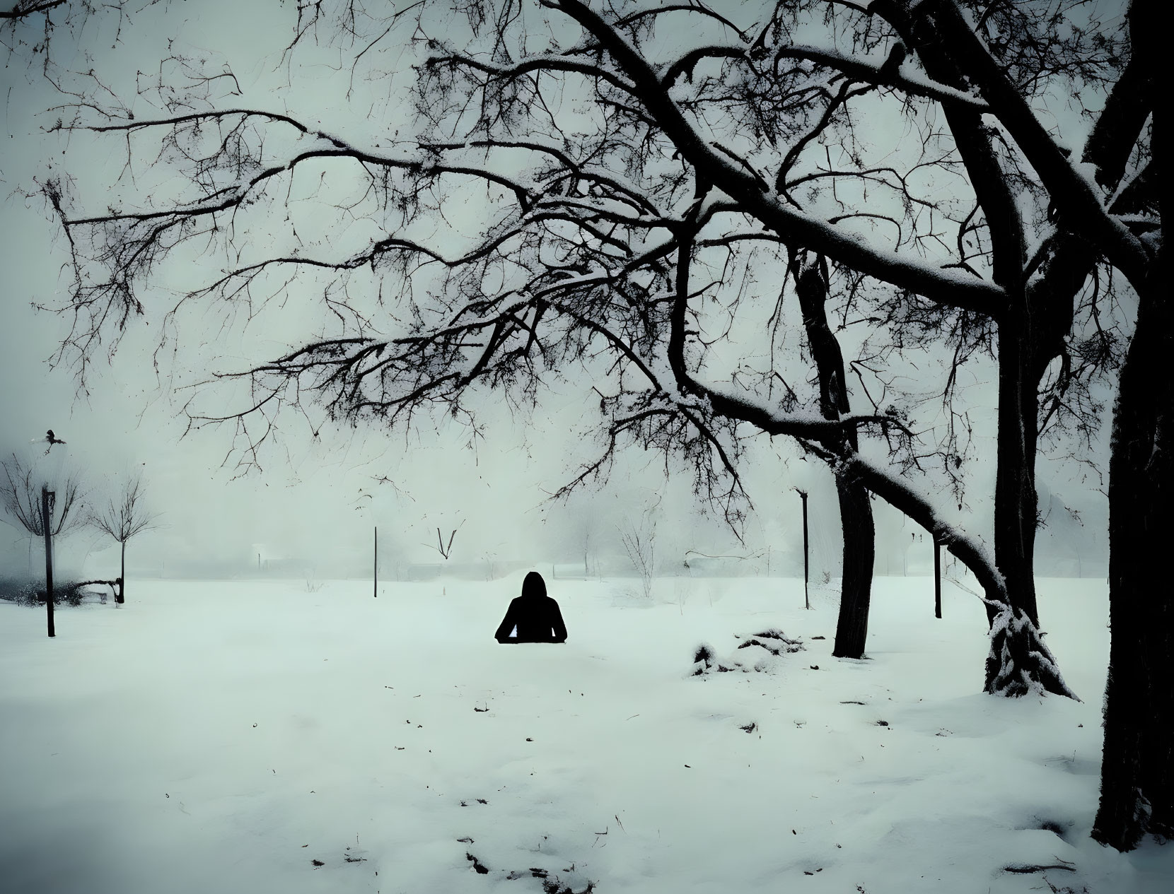 Solitary figure beneath snow-covered trees in misty winter landscape