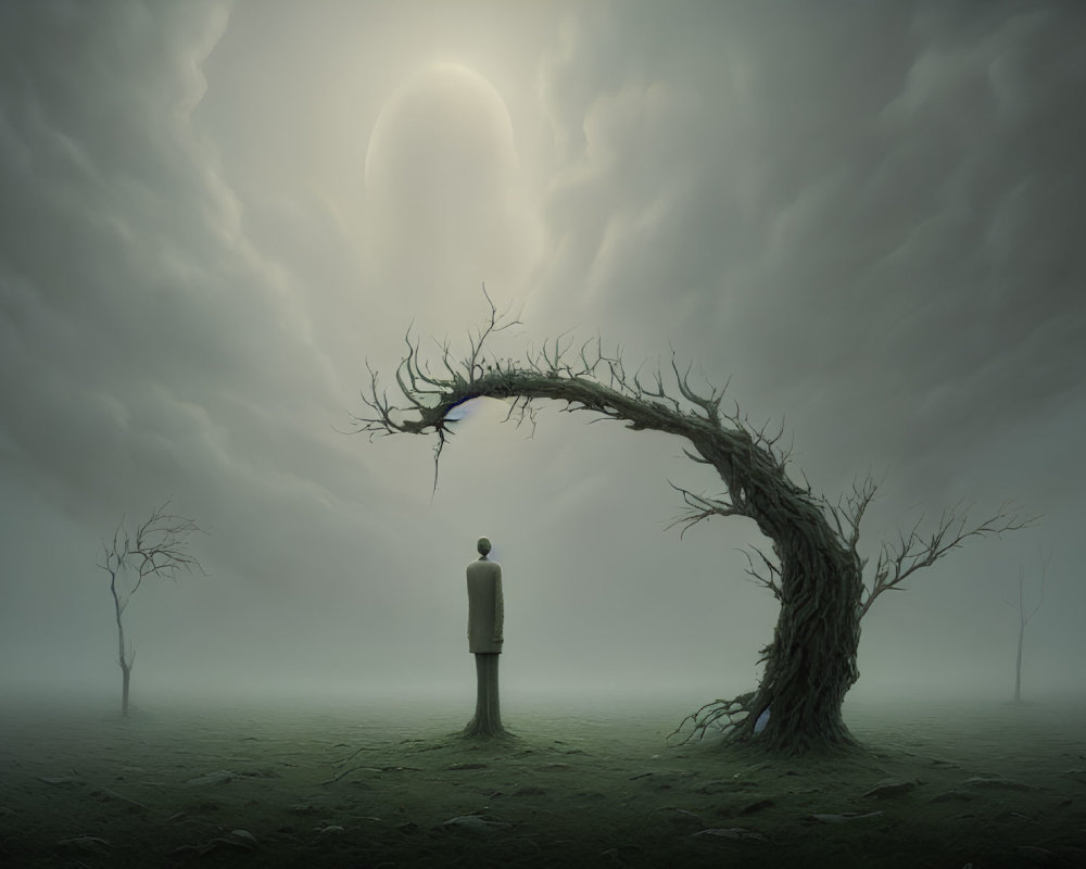 Person standing under bent, leafless tree in misty landscape with subdued sun.