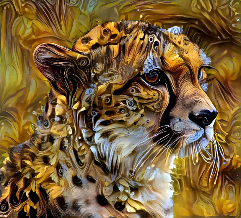 Cheetah