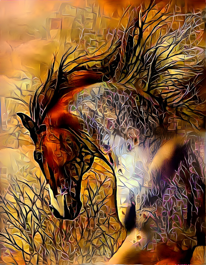 Wild Horse