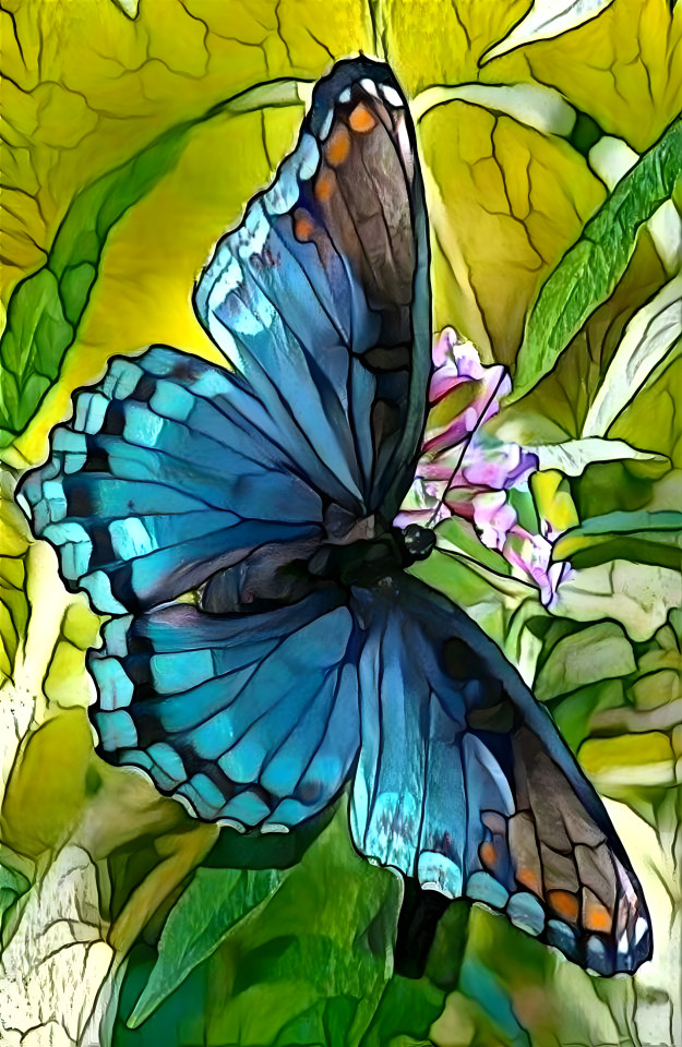 Butterfly