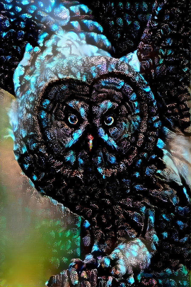 Owl