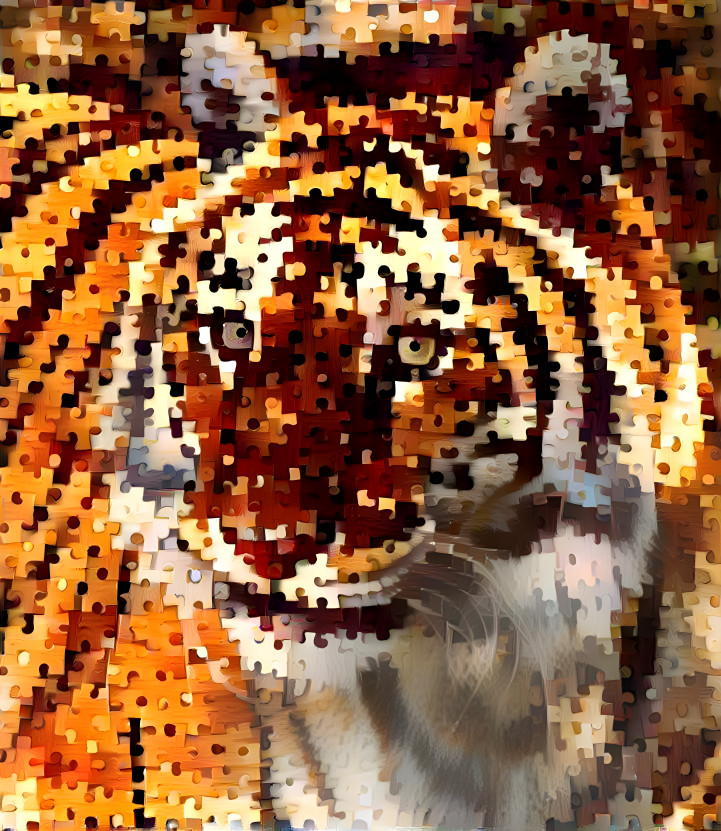 Puzzled Tiger