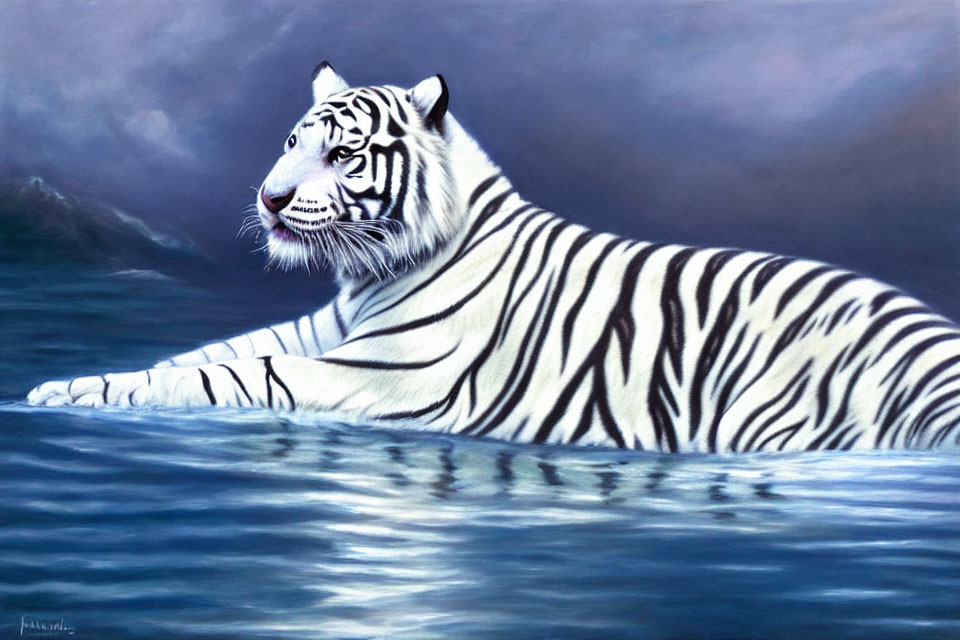 White Tiger Resting in Water Against Soft Blue Background