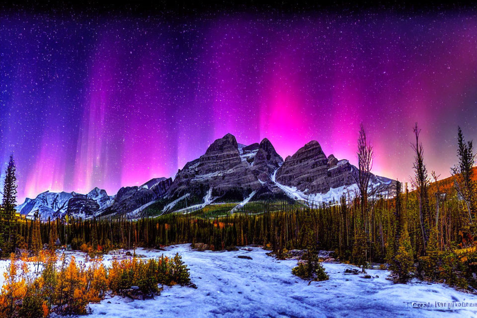 Northern Lights illuminate snow-covered mountain range and forest under starry sky