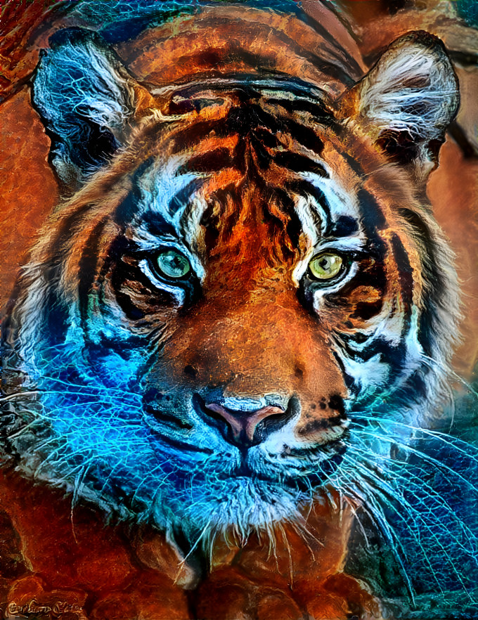 The Tiger