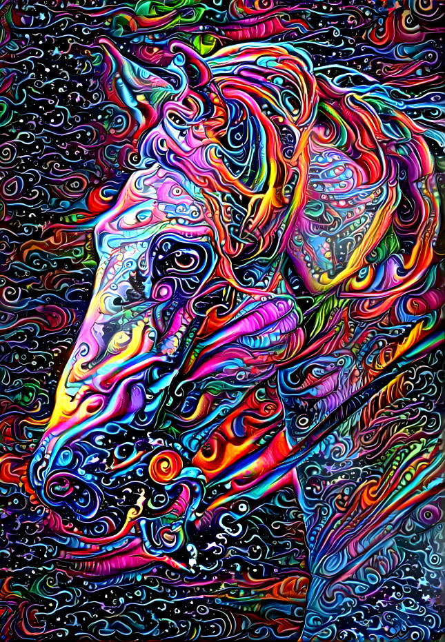 Horse with no Name