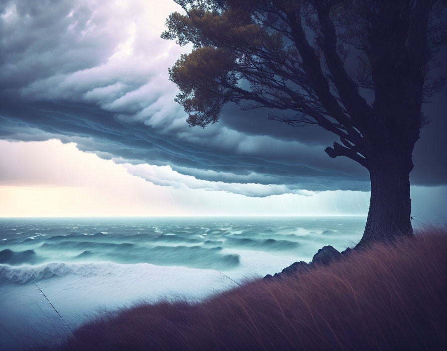 Solitary tree on grassy shore with storm clouds and wavy sea