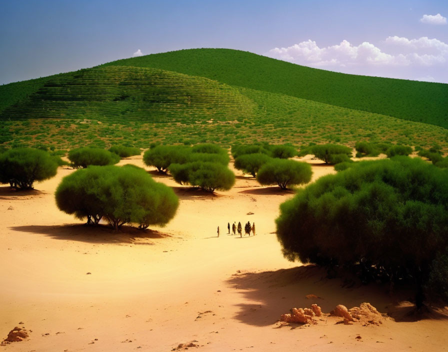 People walking in desert landscape with sand dune and shrubs