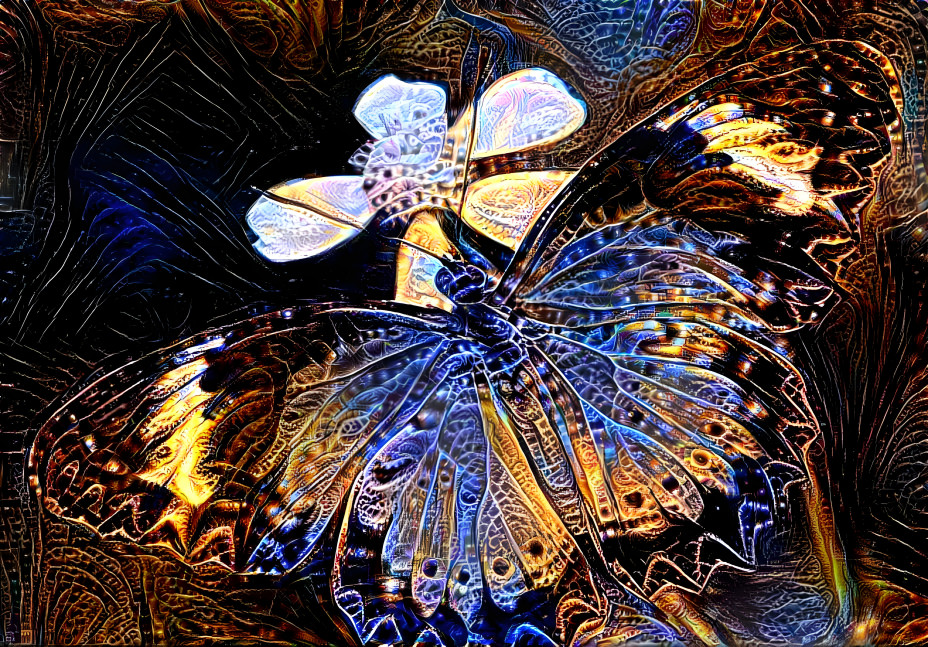 Butterfly