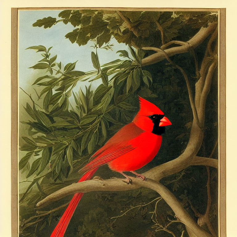 Red cardinal bird perched on tree branch with green leaves against pale sky