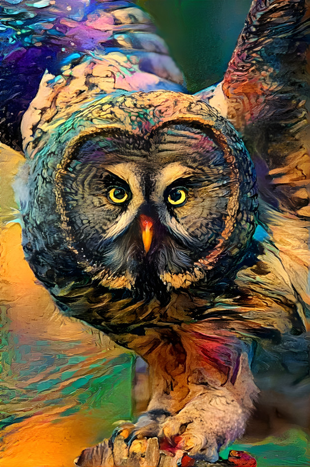 The Owl