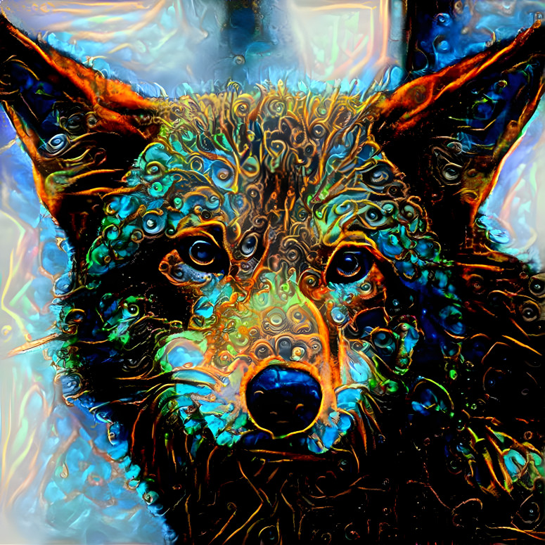 Coyote 